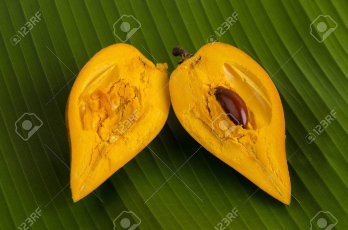 Pouteria campechiana