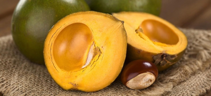 Pouteria lucuma