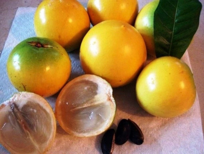 Тропические фрукты