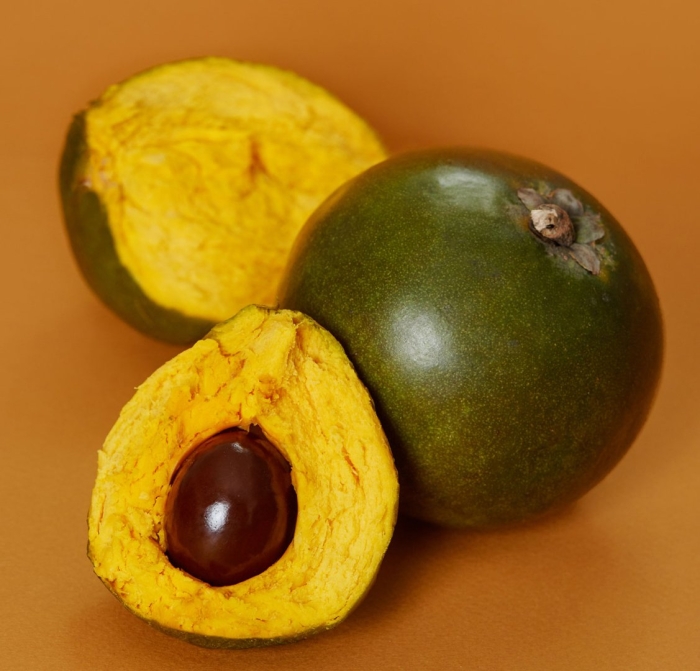 Pouteria lucuma