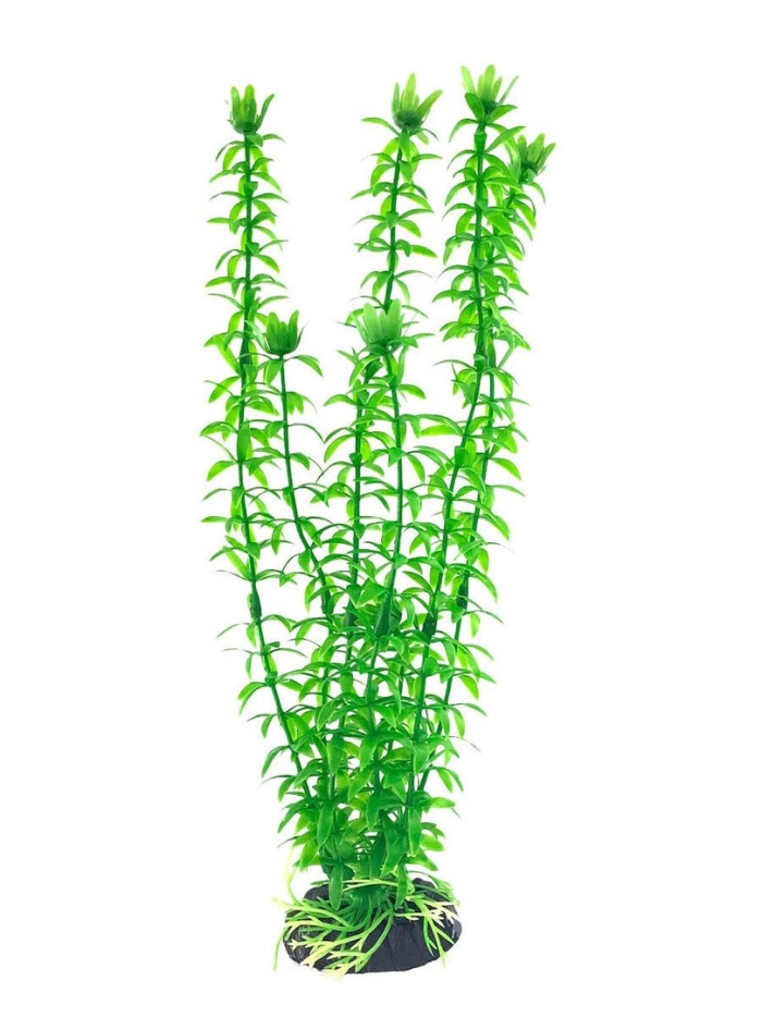 Растение пластиковое барбус 20см элодея plant004/20