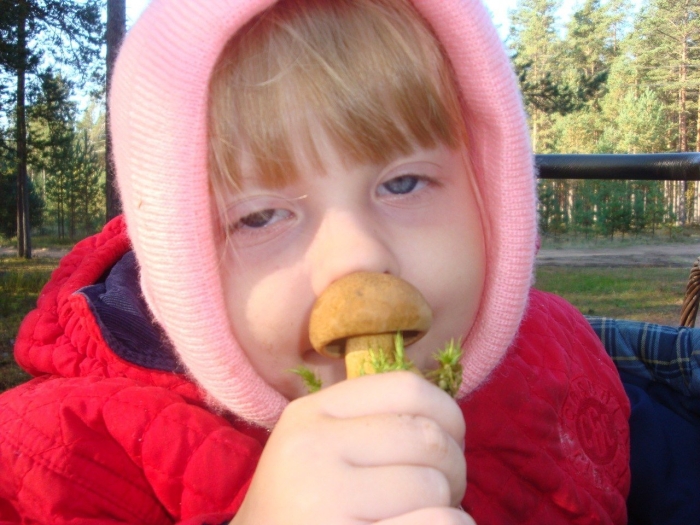 Мем с грибами