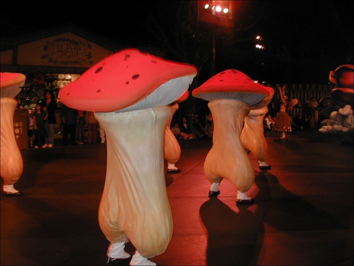 Гриб смешной