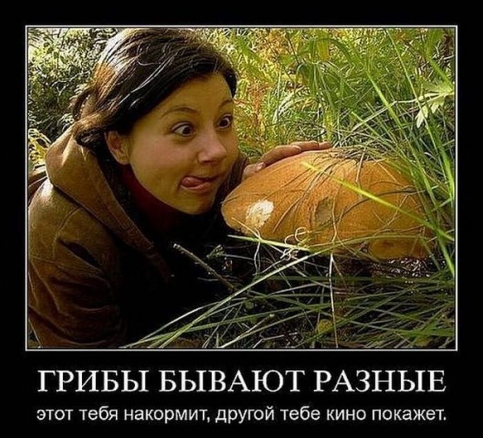 Про грибы