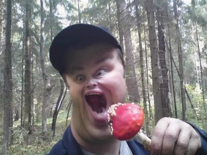 Мемы про грибы