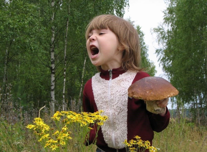 Мальчик с грибами