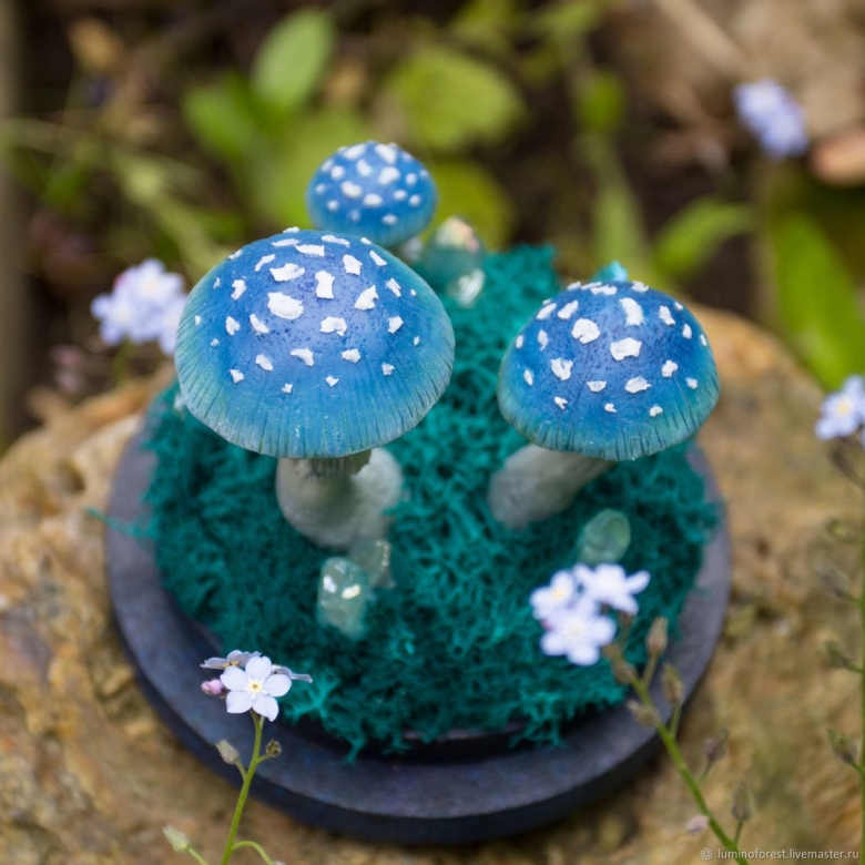 Синий мухомор фото