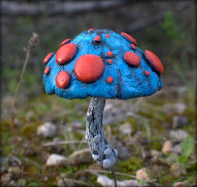 Необычные грибы