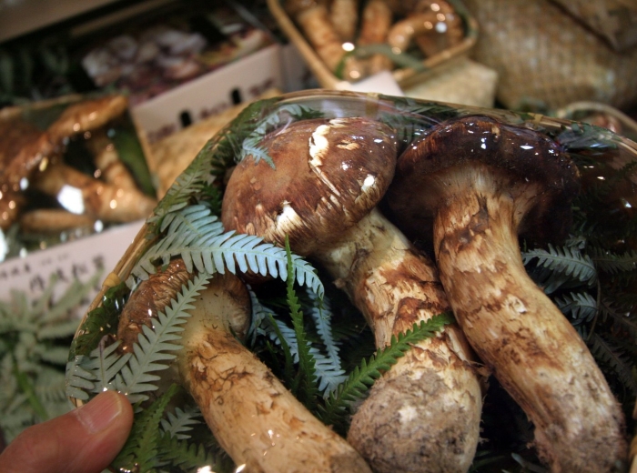 Мацутакэ геншин