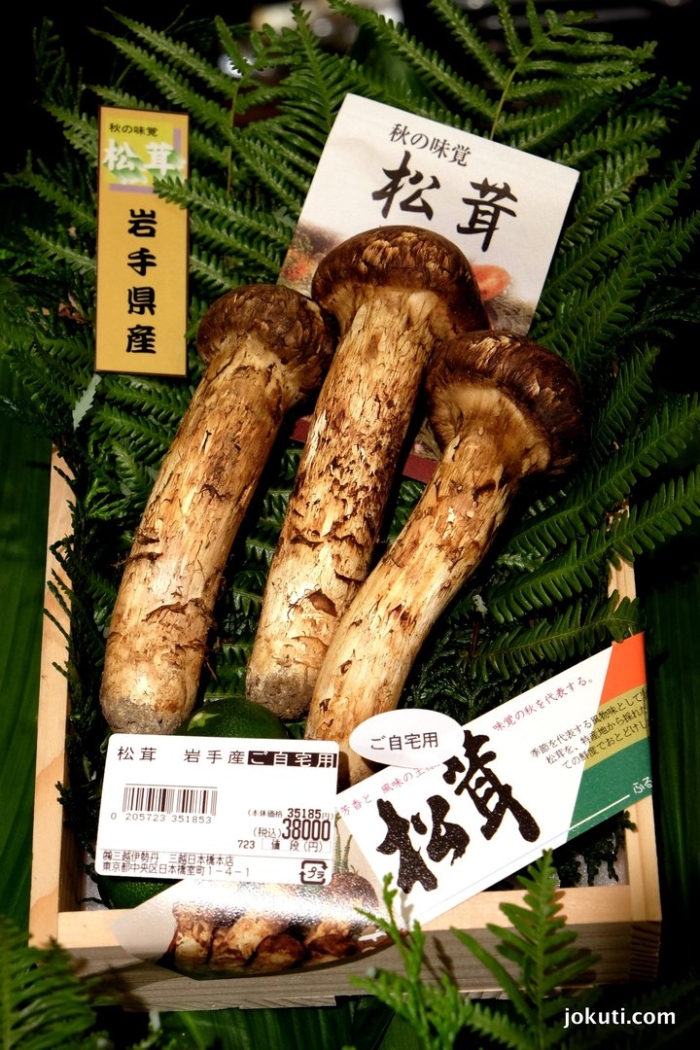 Японские грибы мацутаке