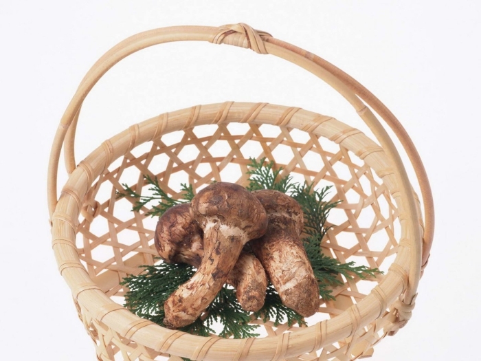 Корзинка для грибов