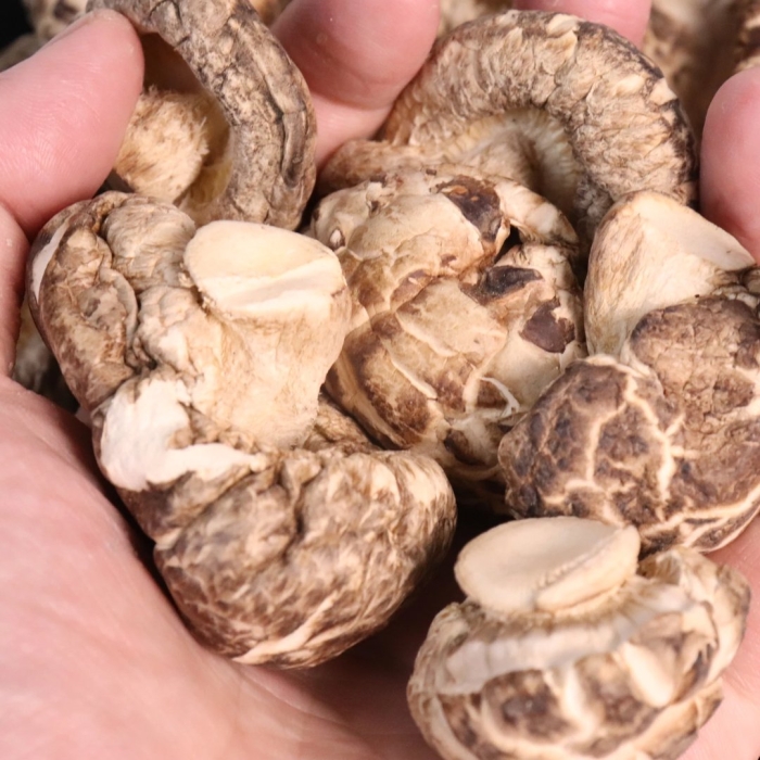 Гриб шиитаке сушеный