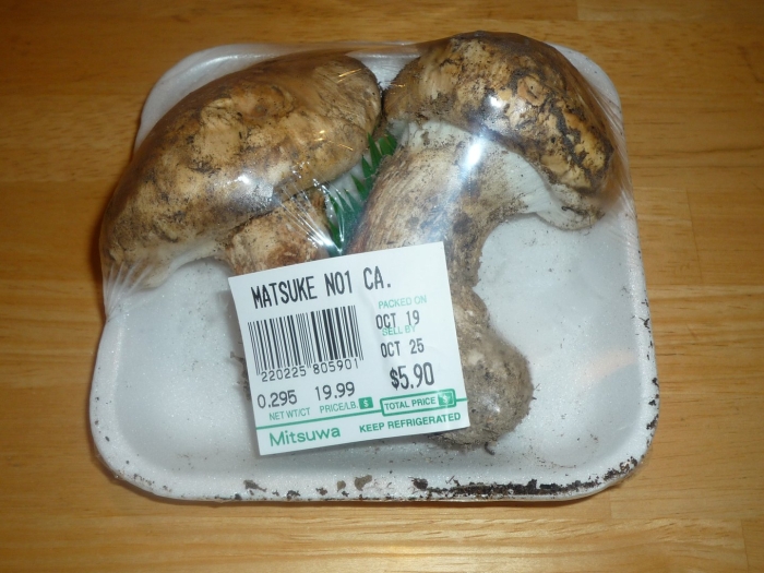 Гриб мацутакэ