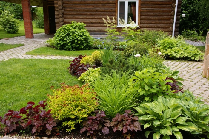 Клумба хоста лилейник спирея