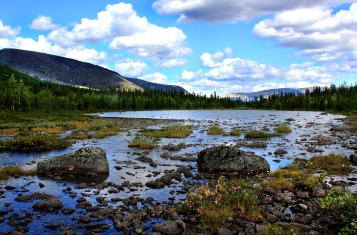 Природа кольского полуострова