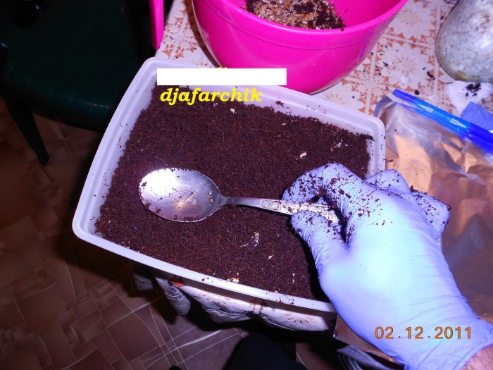 Посев семян