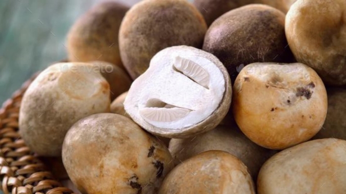 Парша картофеля