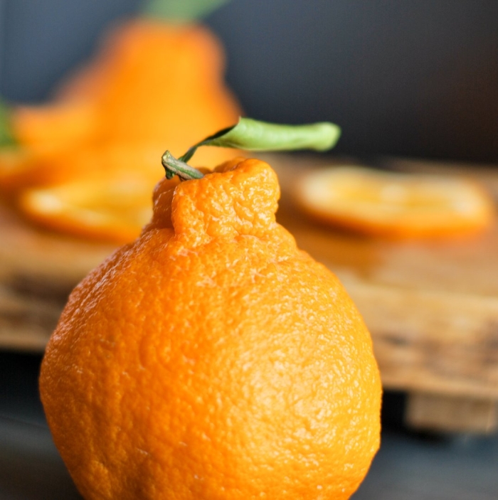 Халлабон цитрус