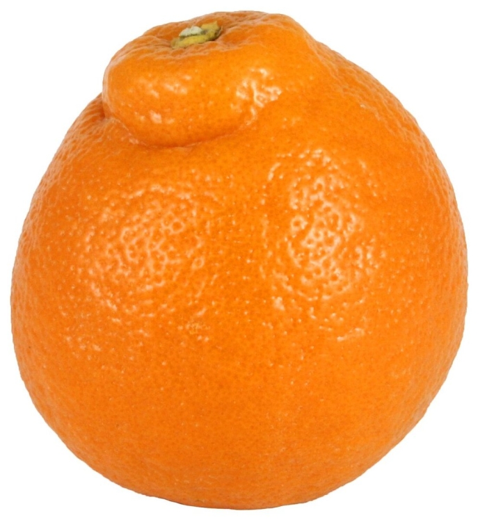 Минеола фрукт