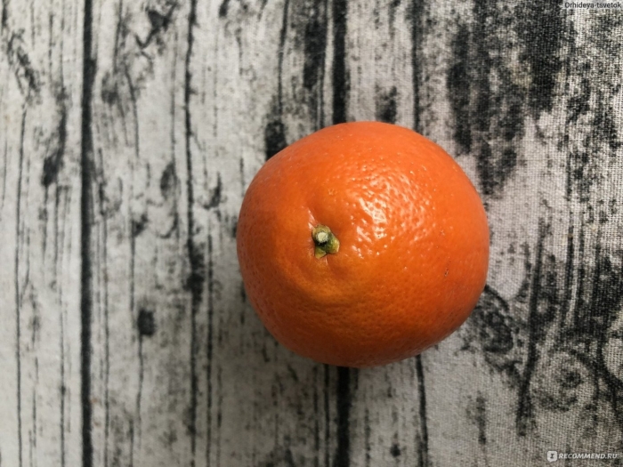 Минеола цитрус