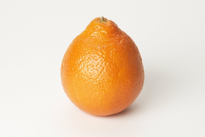 Танжело минеола мандарин