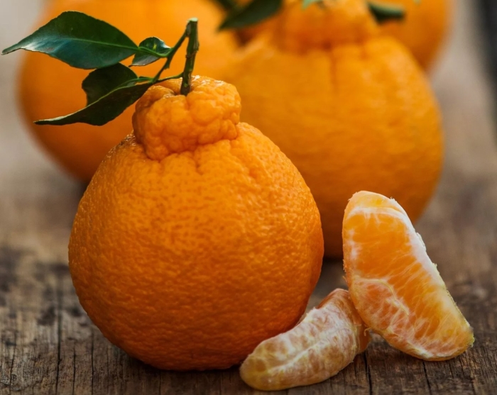 Мандарин сумо