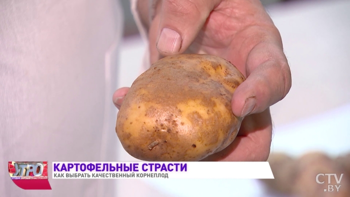 Парша картофеля