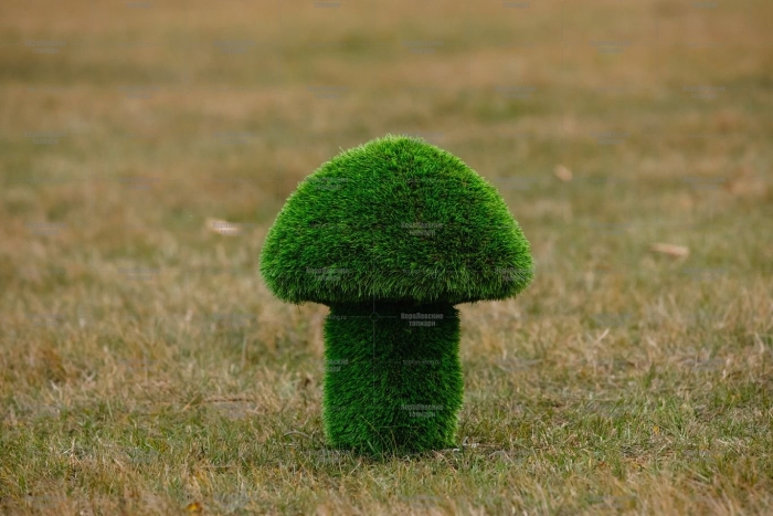 Топиарные фигуры из искусственной травы