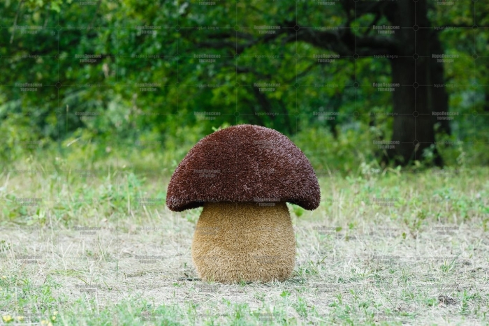 Топиари гриб подосиновик