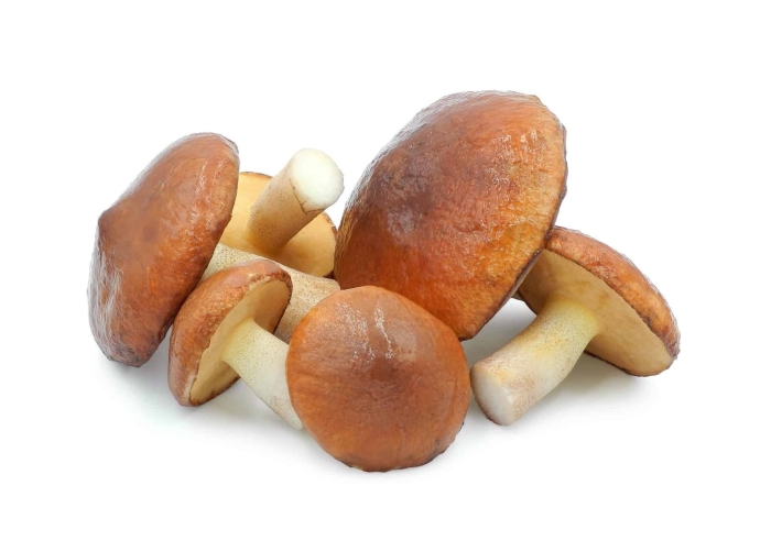 Полуфабрикаты из грибов для заморозки