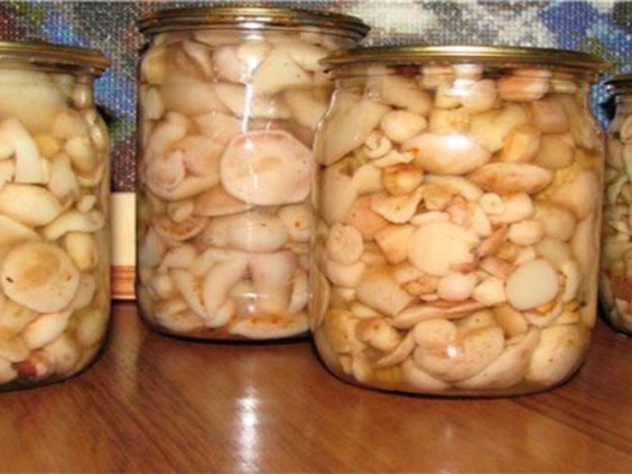 Грибы маринованные маслята