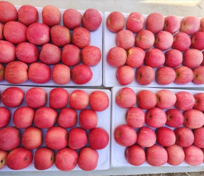 Китайские яблоки