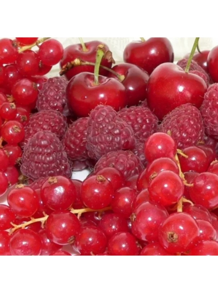 Красная смородина