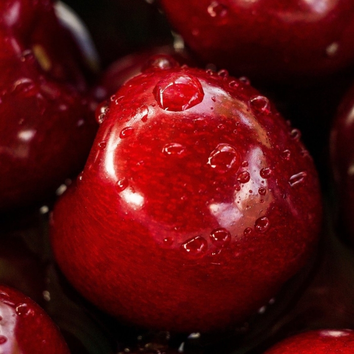 Черешня дайбера