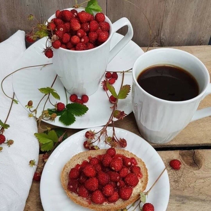 С добрым утром ягодами