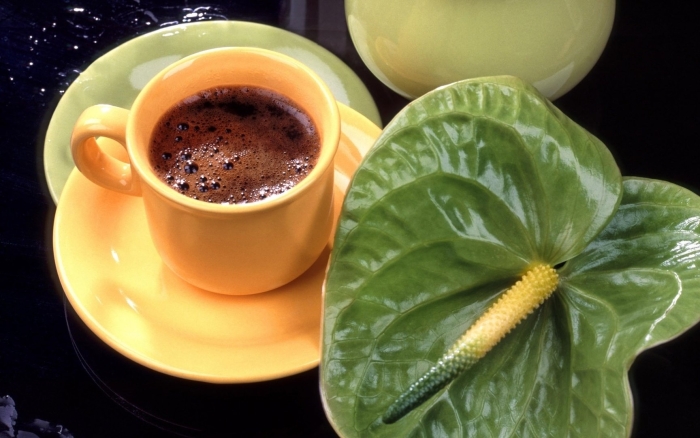 Чашечка кофе