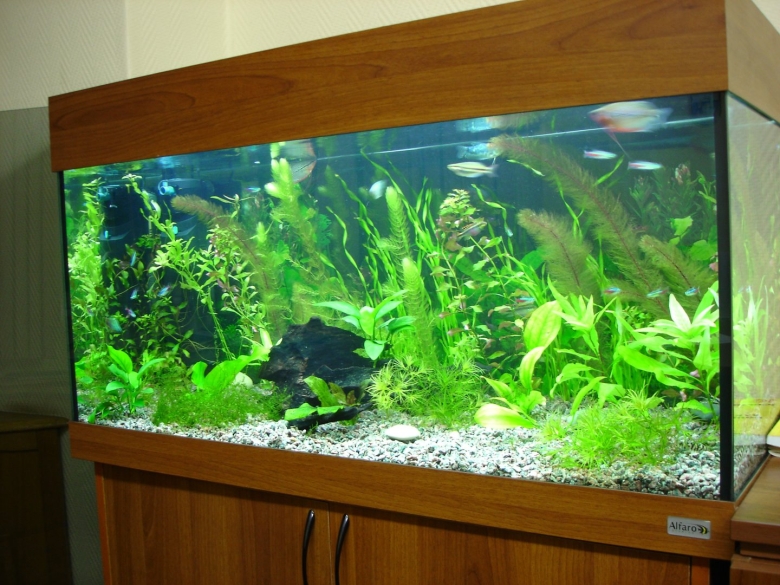 Искусственные растения для аквариума