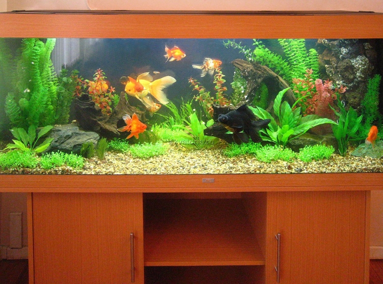 Искусственные растения для аквариума