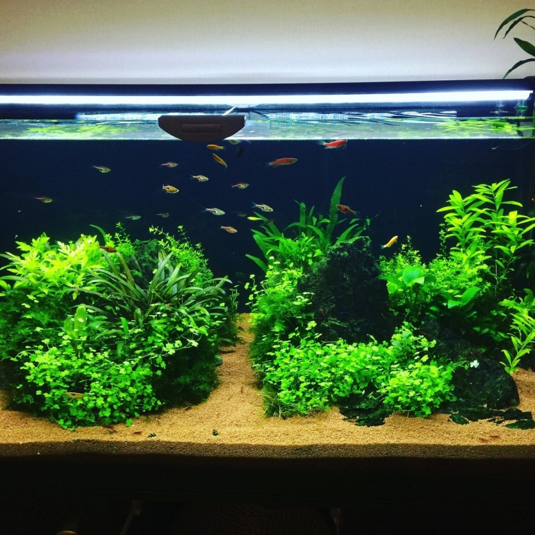 Искусственные растения для аквариума