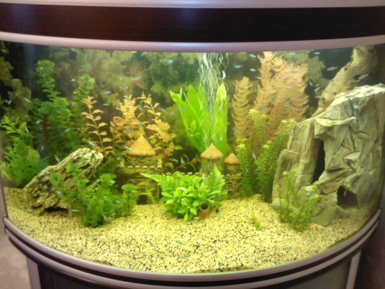 Искусственные растения для аквариума