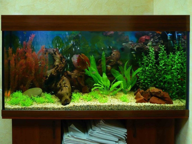 Искусственные растения для аквариума