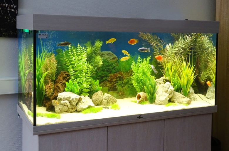 Оформление аквариума