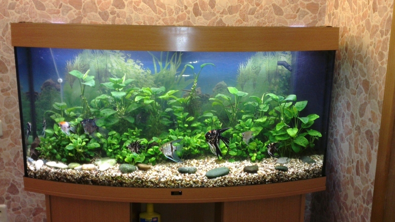 Дизайн аквариума 200 литров
