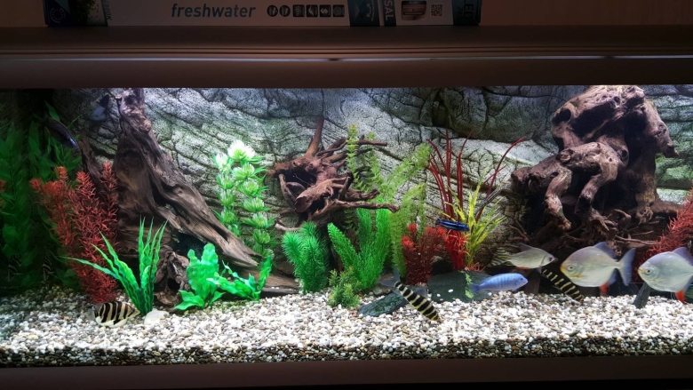 Искусственные растения для аквариума