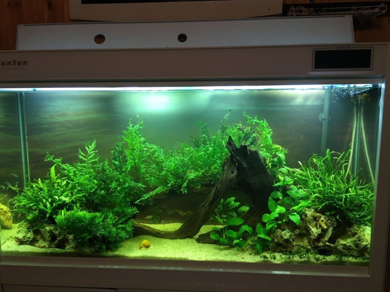 Аквадизайн аквариума на литров