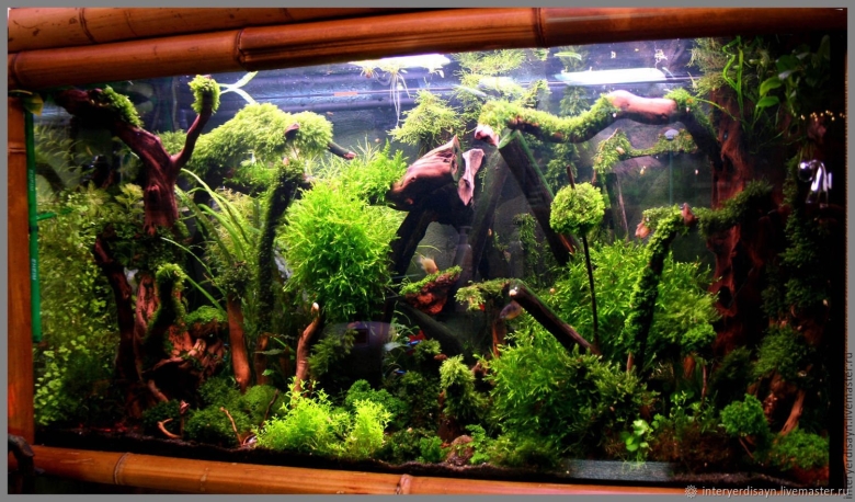 Аквариум травник с корягой