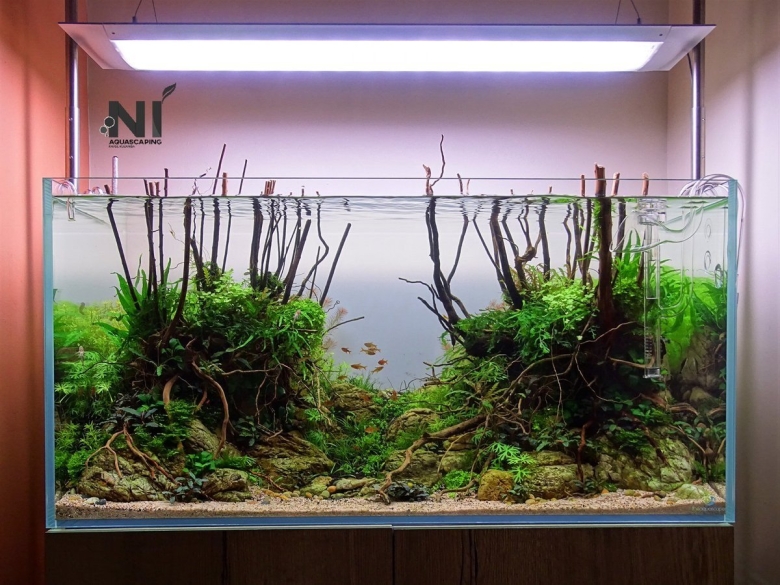 Голландский акваскейп