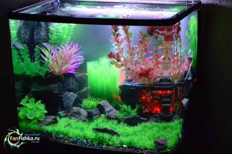 Искусственные растения для аквариума