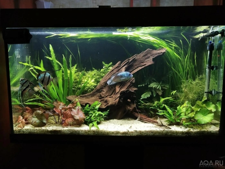 Аквариум травник 200 литров
