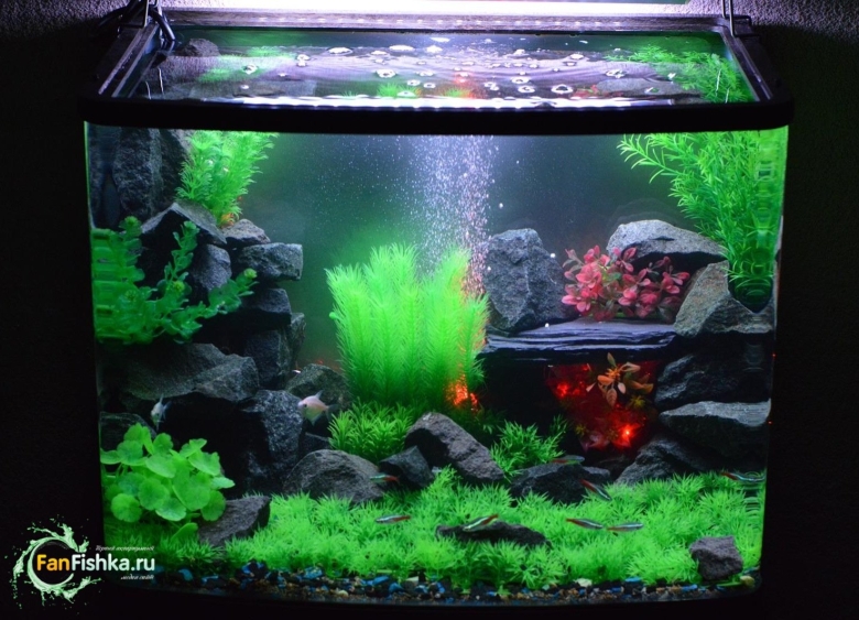 Искусственные растения для аквариума